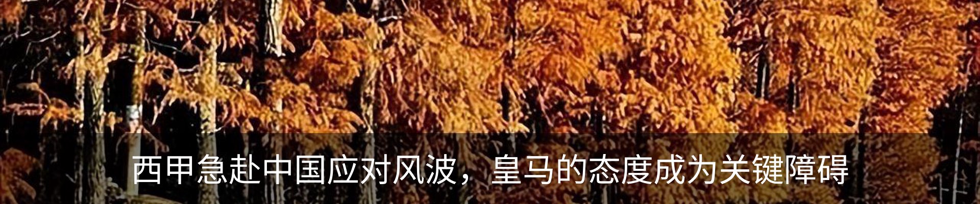 内页banner